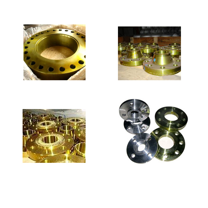 Non Ferrous Flanges